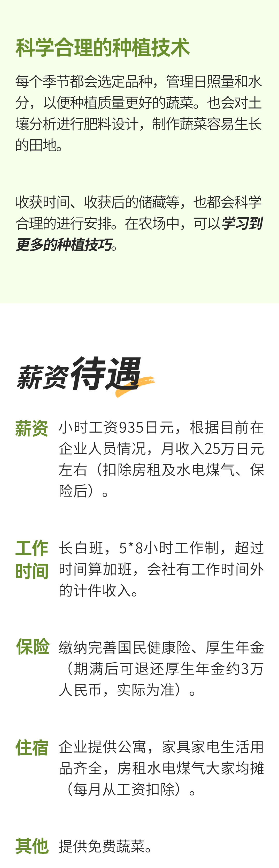 農(nóng)業(yè)技能實(shí)習(xí)工作01.jpg